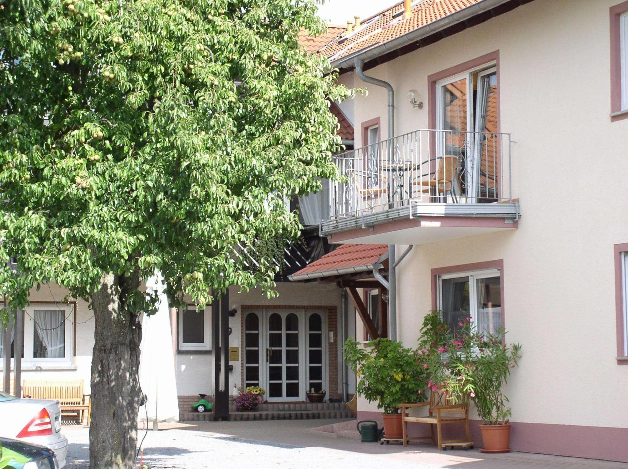 Birnbaumhof - Hotel Pension und Ferienwohnungen Schwedelbach Exterior foto